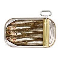 sardines sprats